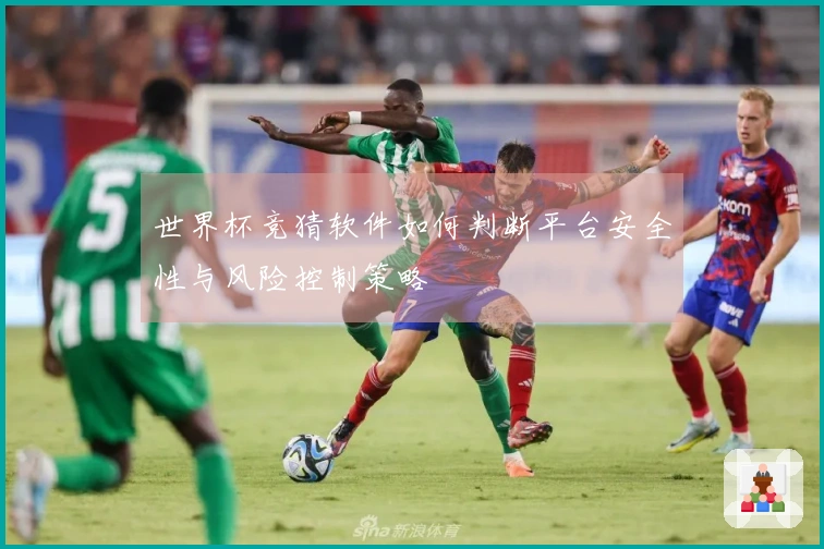 世界杯竞猜软件如何判断平台安全性与风险控制策略