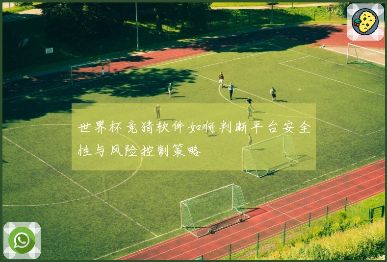 世界杯竞猜软件如何判断平台安全性与风险控制策略