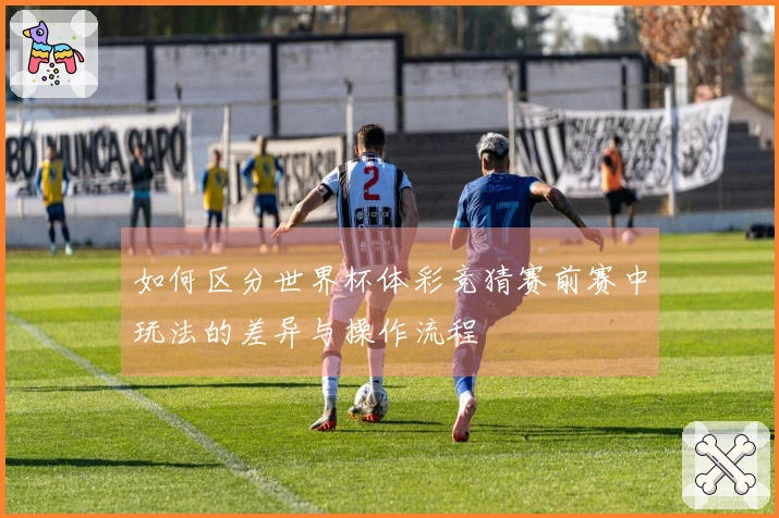 如何区分世界杯体彩竞猜赛前赛中玩法的差异与操作流程